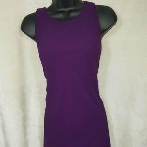 Ralph Lauren Purple Dress